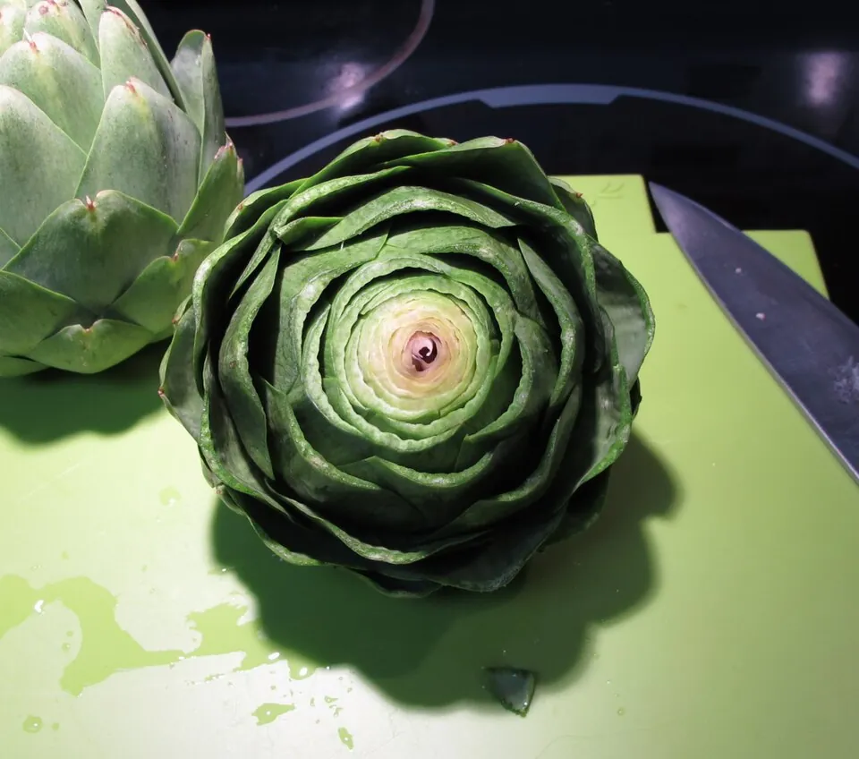 Alcachofa