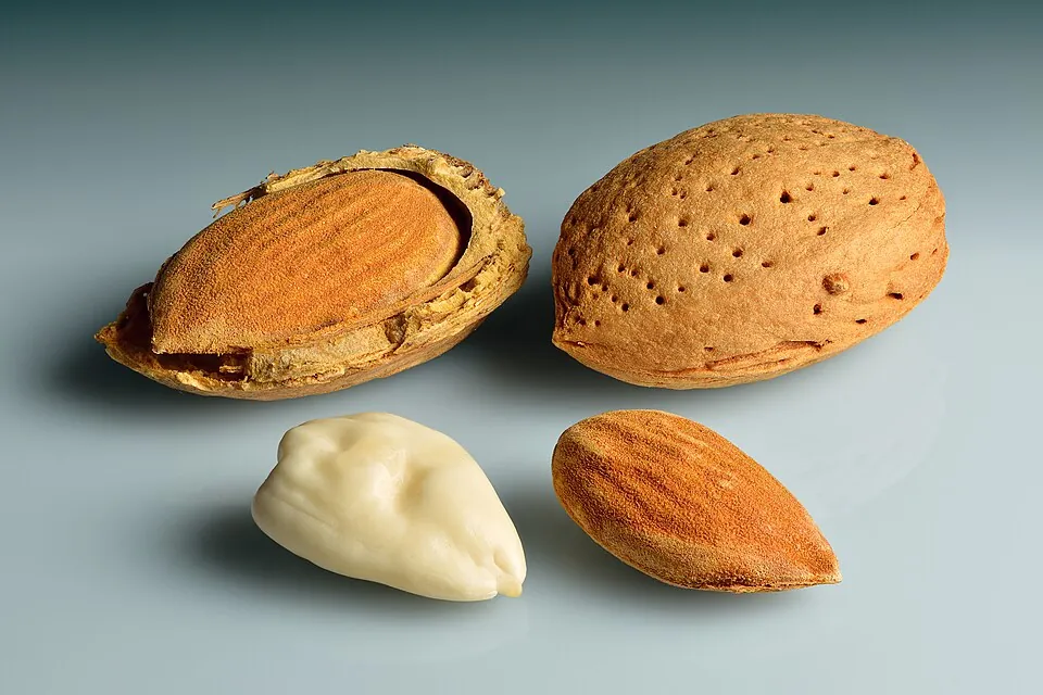 Almendra