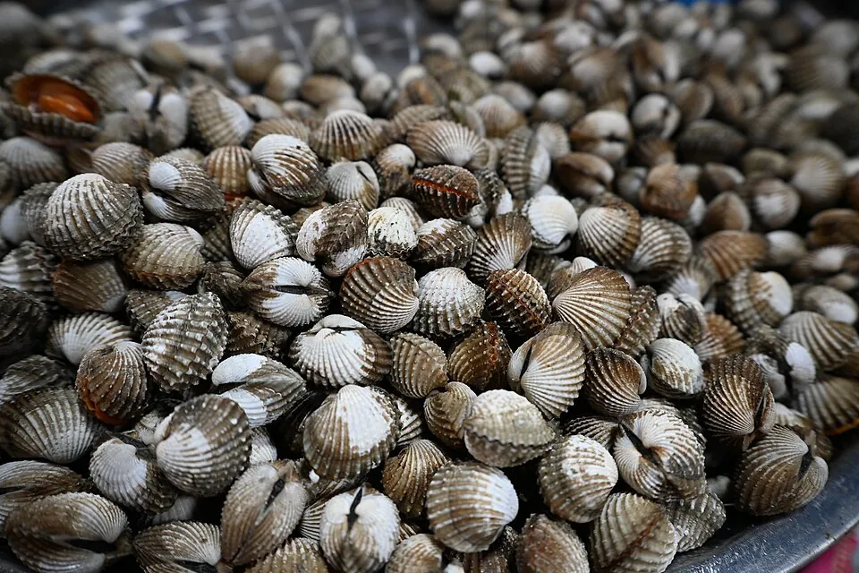 Berberechos