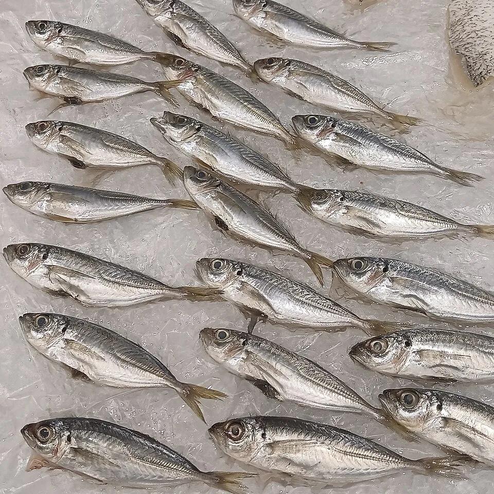 Boquerón