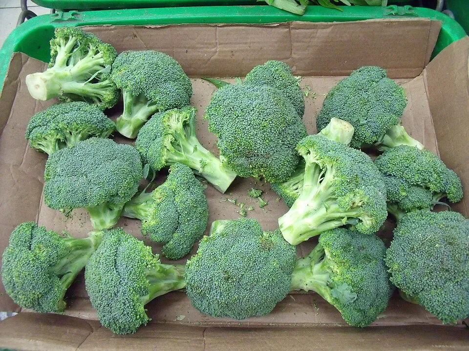 Brócoli
