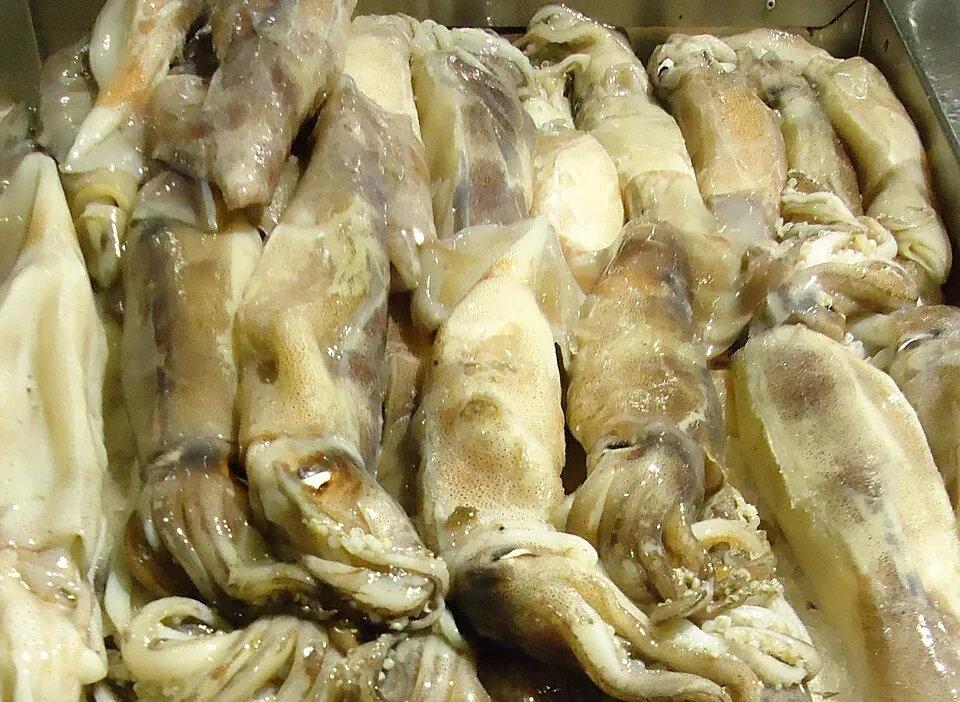 Calamar