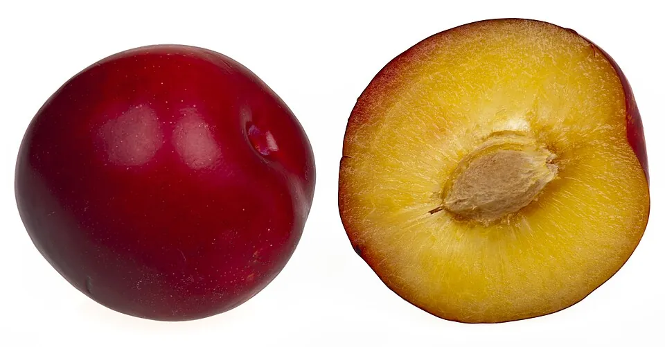 Ciruela