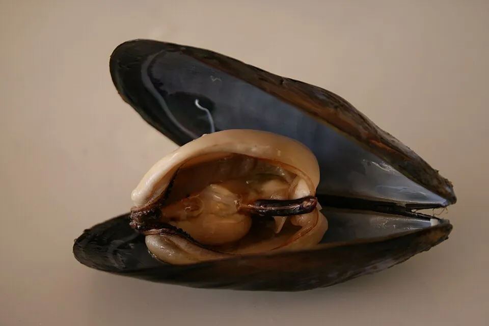 Clóchina