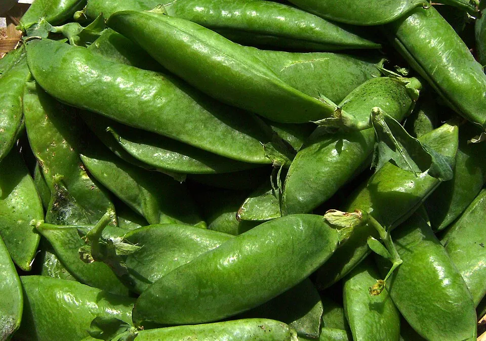 Guisantes
