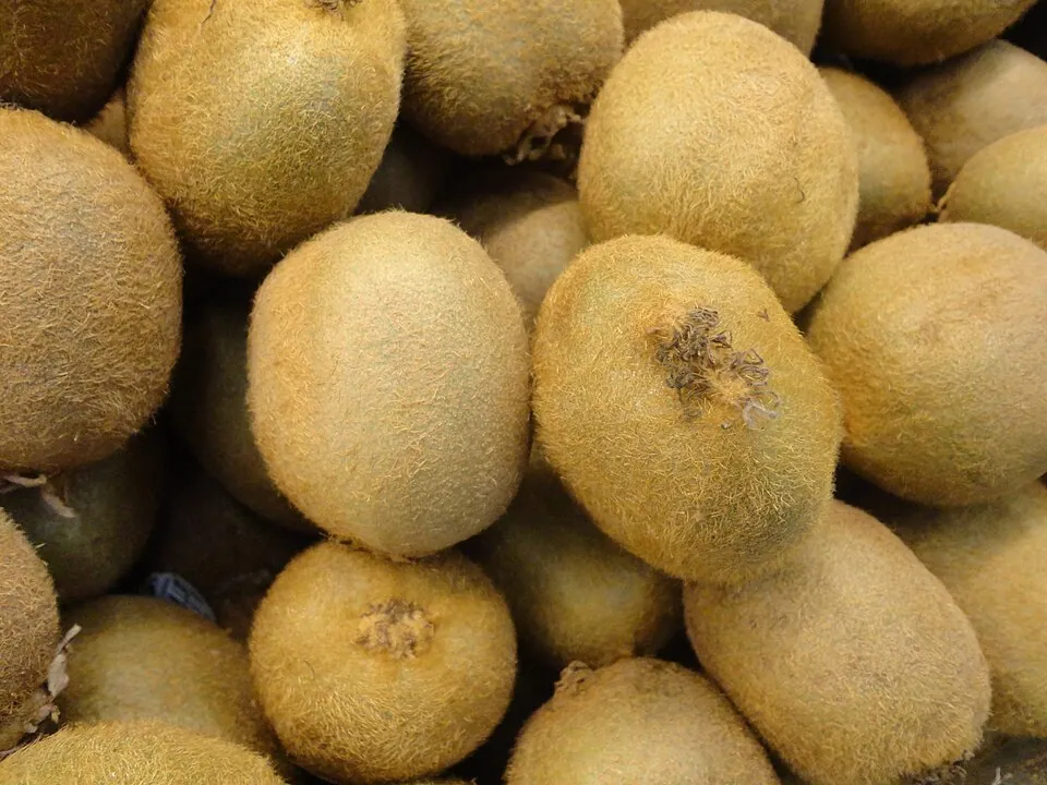 Kiwi
