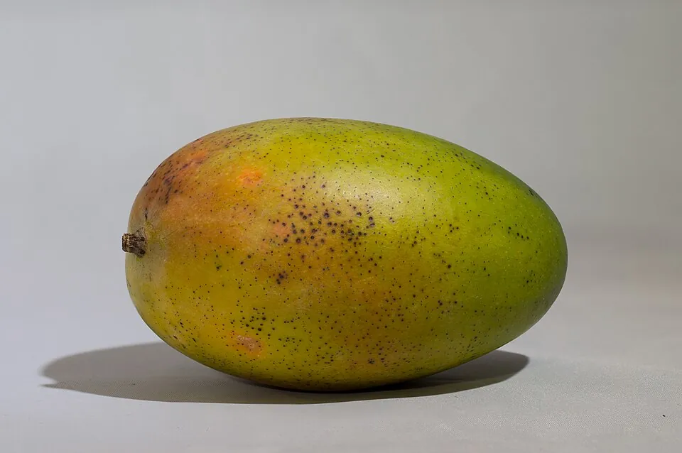 Mango