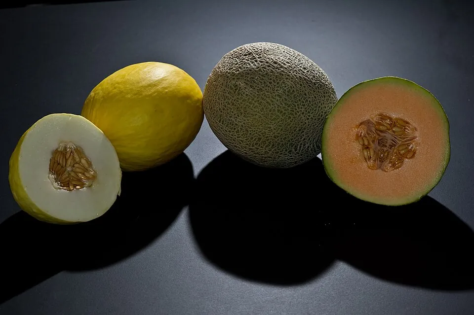 Melón