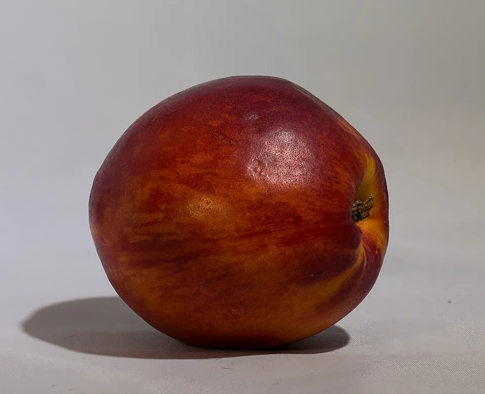 Nectarina