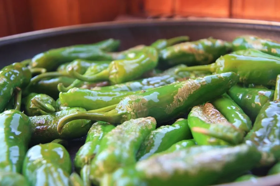 Pimiento de Gernika