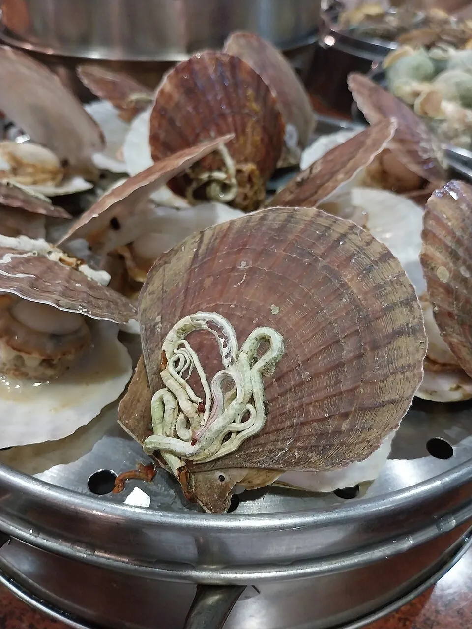 Vieiras