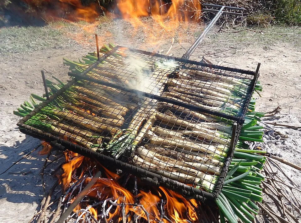 Calçots con salsa romesco